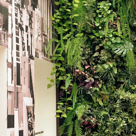 アイーダ マレ ホテル