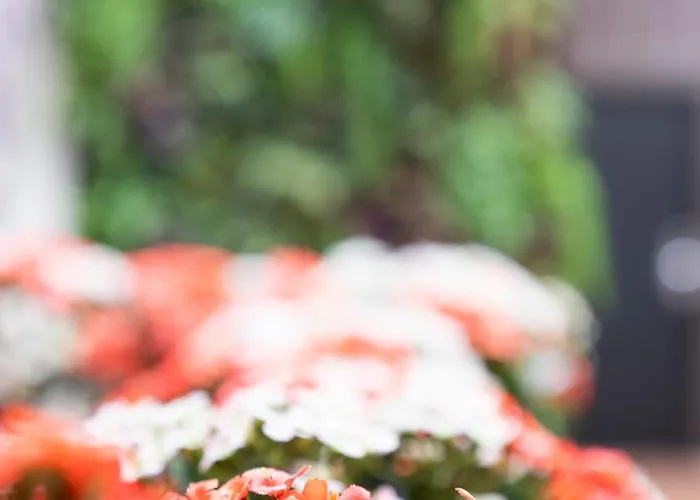 Hotel Aida Marais 3*