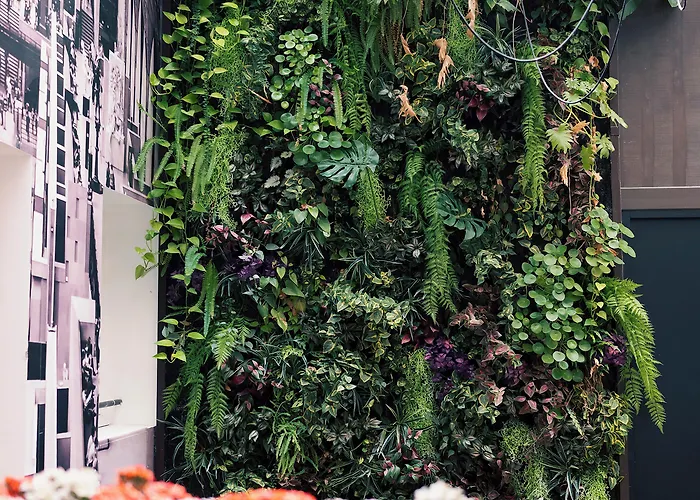 Отель Aida Marais